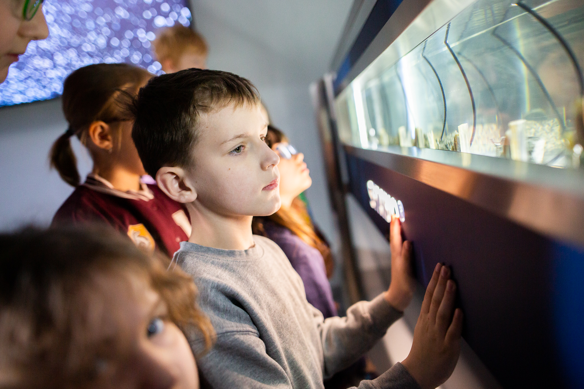 Dzieci w Maszynowni Żywiołów oglądają małże, które monitorują stan wody